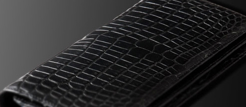 croco00.jpg
