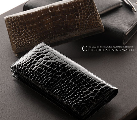 croco001.jpg