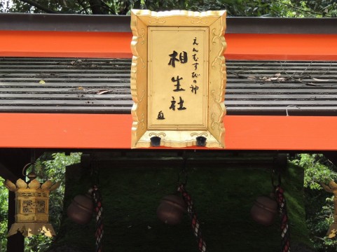 jinja02.jpg