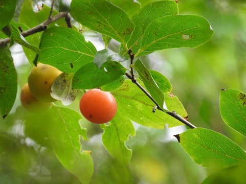 10月08.jpg
