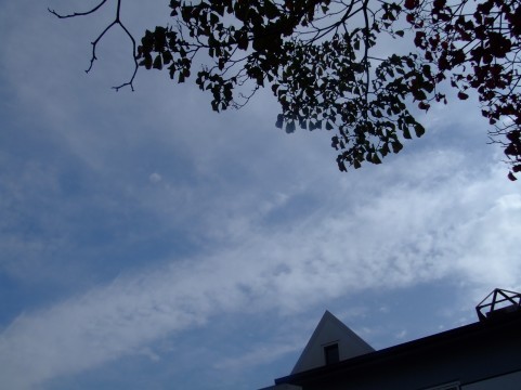 10月24.jpg