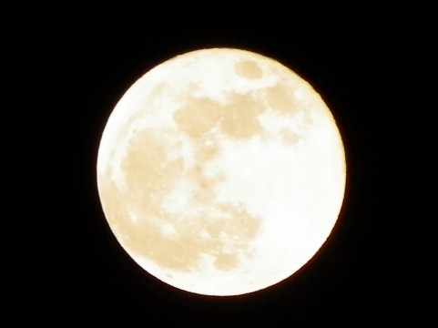 満月01.jpg